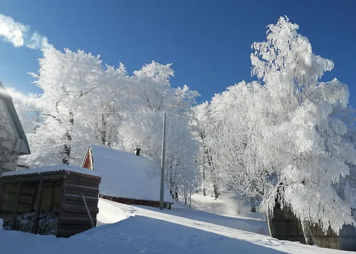 Mountain Village