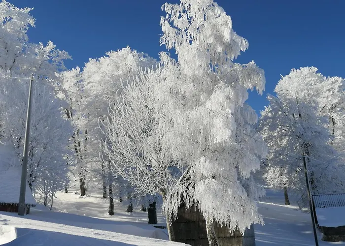 Mountain Village