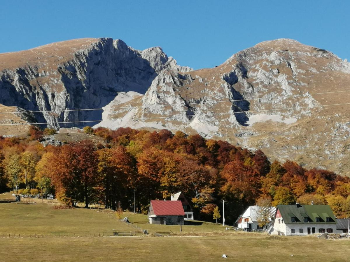 Апартаменты Mountain Village Жабляк