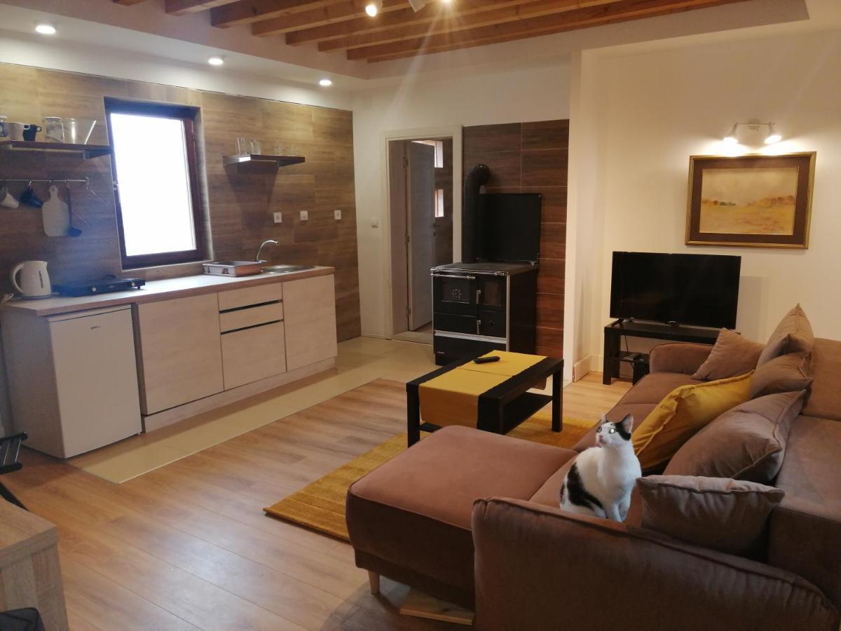 Mountain Village Apartment