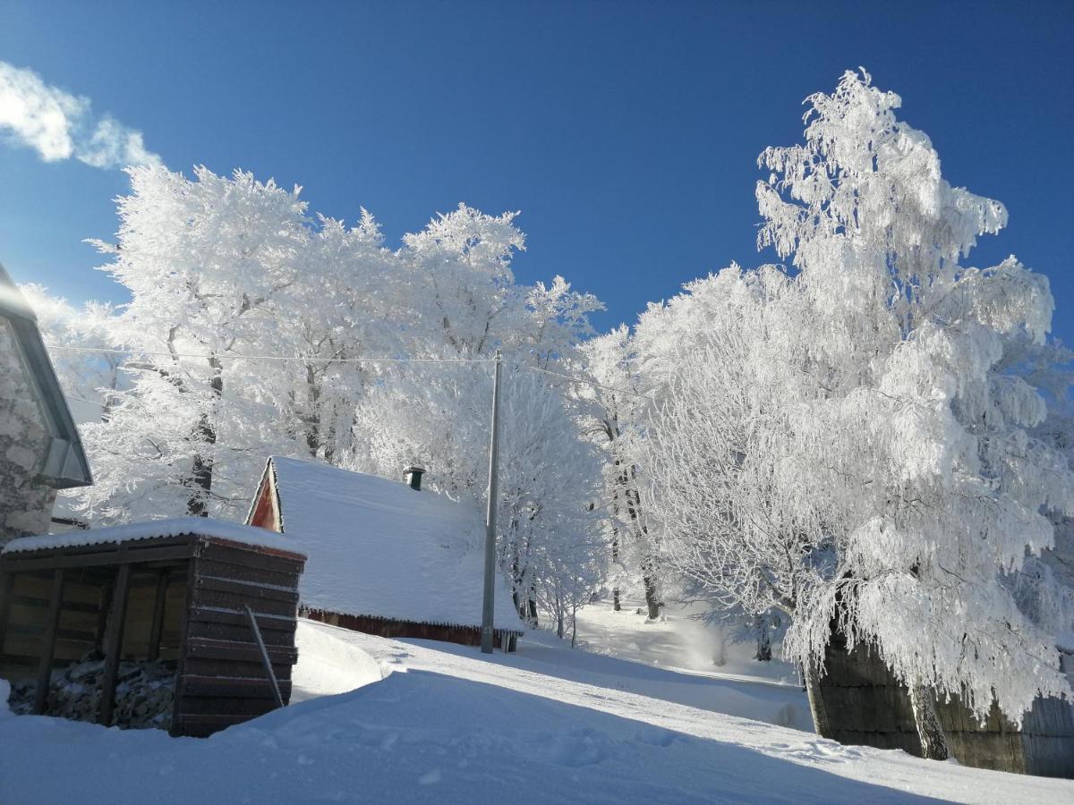 Mountain Village * Žabljak